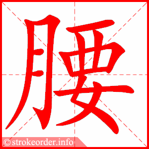 stroke order animation of 腰