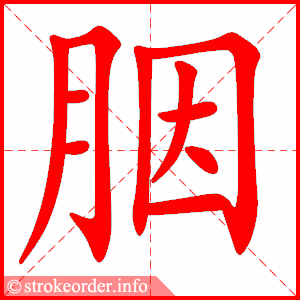 stroke order animation of 胭