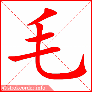 stroke order animation of 毛