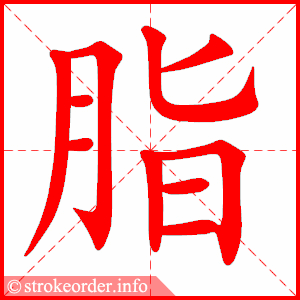stroke order animation of 脂