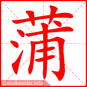 stroke order animation of 蒲