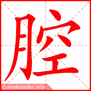 stroke order animation of 腔