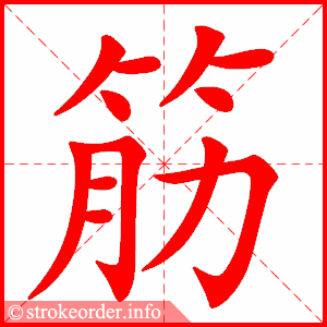 stroke order animation of 筋