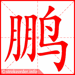 stroke order animation of 鹏