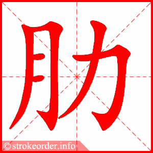 stroke order animation of 肋