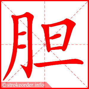 stroke order animation of 胆