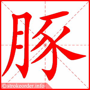stroke order animation of 豚