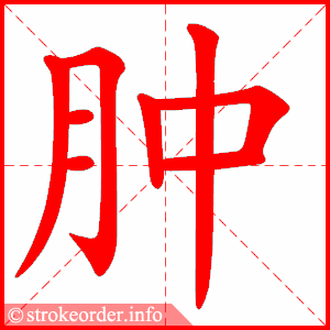 stroke order animation of 肿