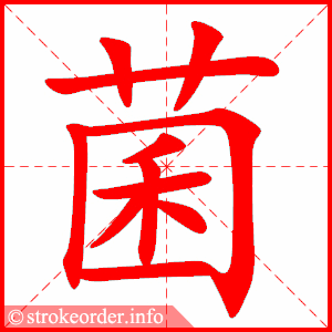stroke order animation of 菌